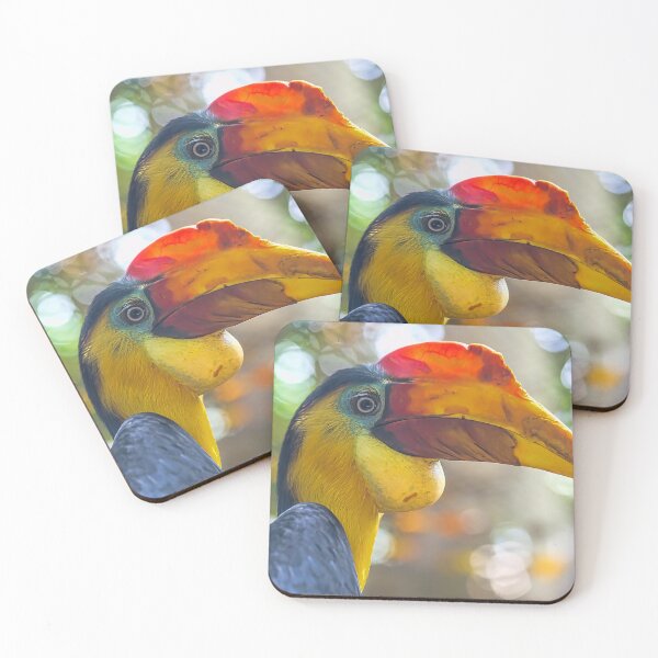 Item preview, USA. Texas. Galveston Island. The Aquarium at Moody Gardens. Hornbill Bird. designed and sold by vadim19.