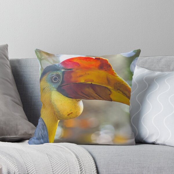 Item preview, USA. Texas. Galveston Island. The Aquarium at Moody Gardens. Hornbill Bird. designed and sold by vadim19.