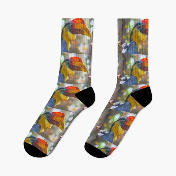 Item preview, USA. Texas. Galveston Island. The Aquarium at Moody Gardens. Hornbill Bird. designed and sold by vadim19.