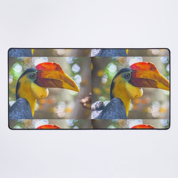 Item preview, USA. Texas. Galveston Island. The Aquarium at Moody Gardens. Hornbill Bird. designed and sold by vadim19.