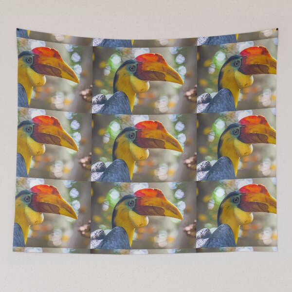 Item preview, USA. Texas. Galveston Island. The Aquarium at Moody Gardens. Hornbill Bird. designed and sold by vadim19.