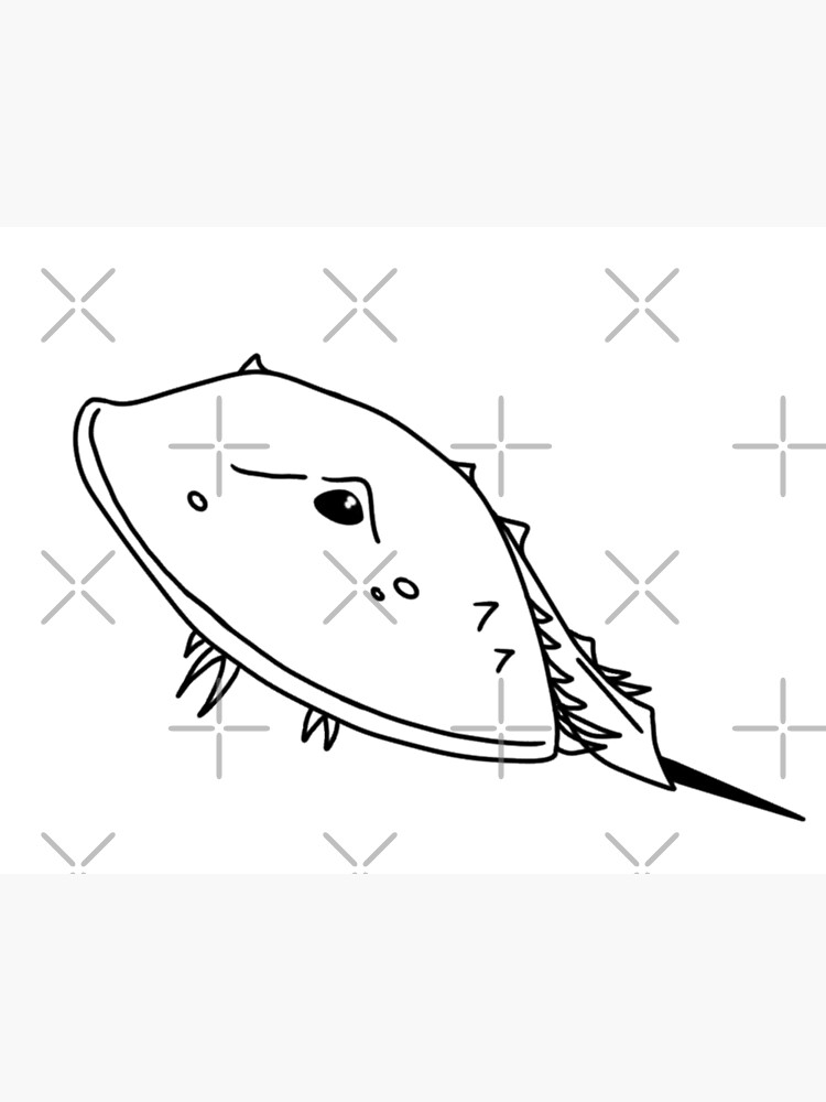 "horseshoe crab outline" Poster for Sale by Siv3 Redbubble