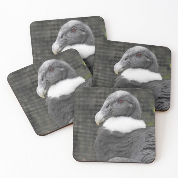 Item preview, Andean Condor designed and sold by kirstybush.