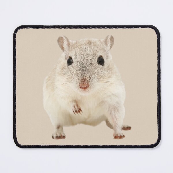 Item preview, Adorable Mouse designed and sold by RainbowSpinkle.