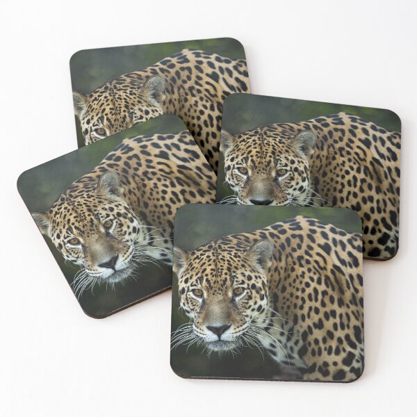 Item preview, Jaguar designed and sold by zeljana0504.