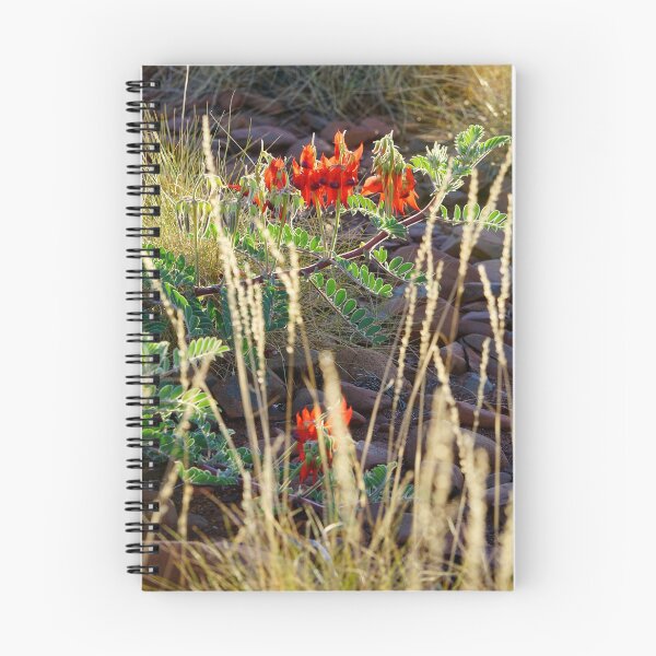 Item preview, Shy designed and sold by Harry Oldmeadow.
