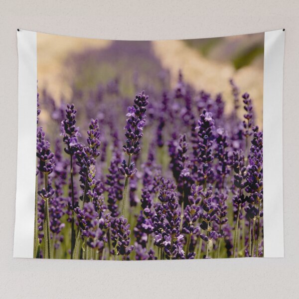 Item preview, Rows of Lavender designed and sold by Marylou Badeaux.