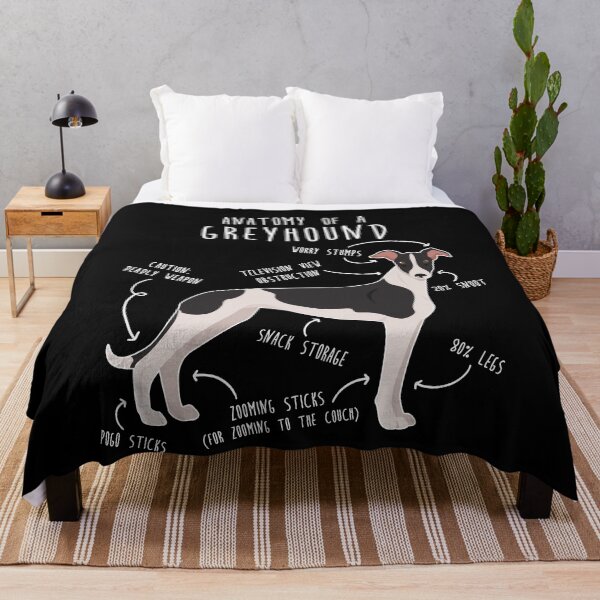 Item preview, Anatomía del perro galgo designed and sold by Clara Hollins.