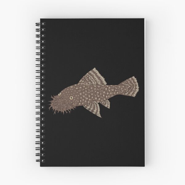 Artikelvorschau, Bristlenose Pleco - Schokoladenaroma - schwarzer Hintergrund entworfen und verkauft von ReverendMothman.