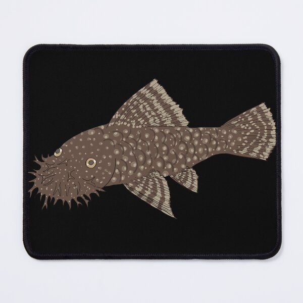 Item preview, Bristlenose Pleco - Chocolate Flavor - Black Background designed and sold by ReverendMothman.