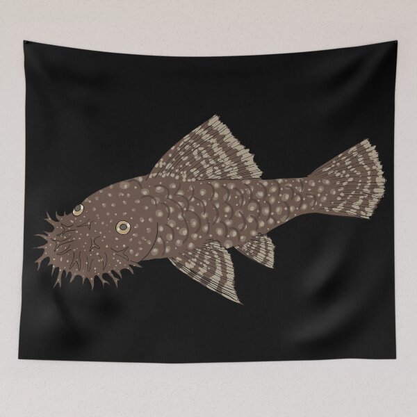 Item preview, Bristlenose Pleco - Chocolate Flavor - Black Background designed and sold by ReverendMothman.