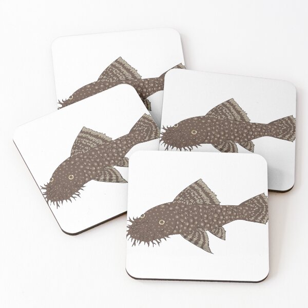 Item preview, Bristlenose Pleco - Chocolate Flavor - White Background designed and sold by ReverendMothman.