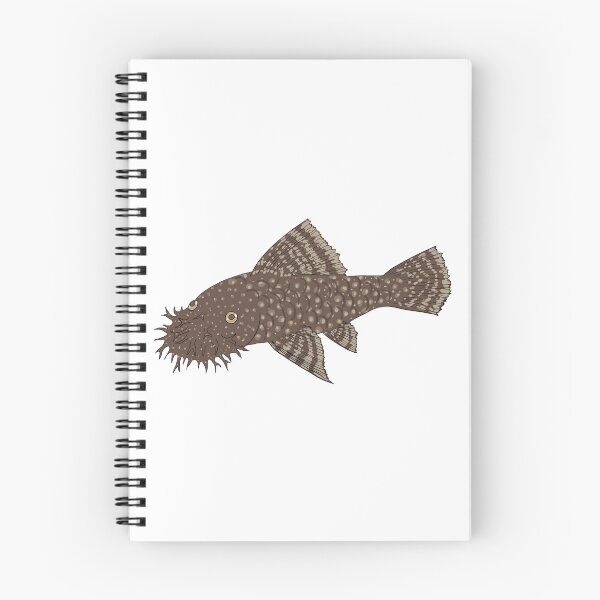 Item preview, Bristlenose Pleco - Chocolate Flavor - White Background designed and sold by ReverendMothman.