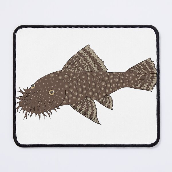 Item preview, Bristlenose Pleco - Chocolate Flavor - White Background designed and sold by ReverendMothman.