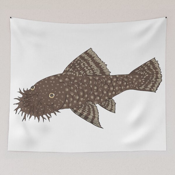 Item preview, Bristlenose Pleco - Chocolate Flavor - White Background designed and sold by ReverendMothman.