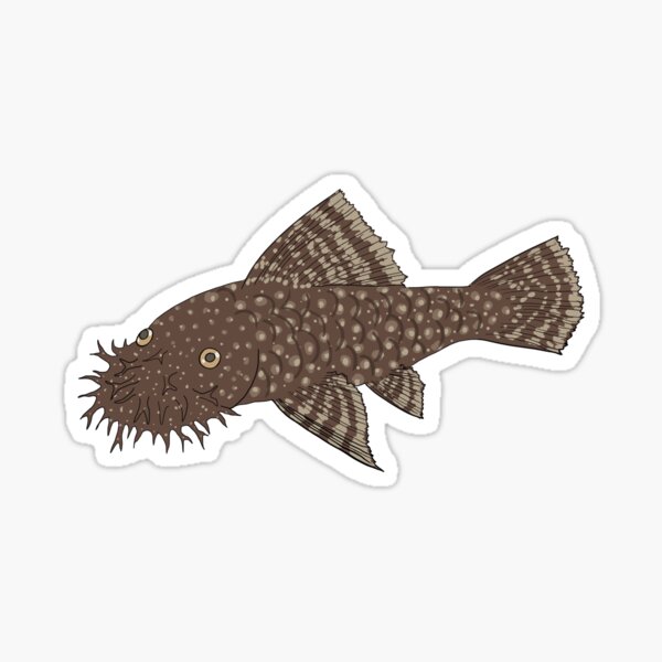 Vista previa del artículo con la obra «Bristlenose Pleco - Sabor Chocolate - Fondo Blanco», diseñado y vendido por ReverendMothman.