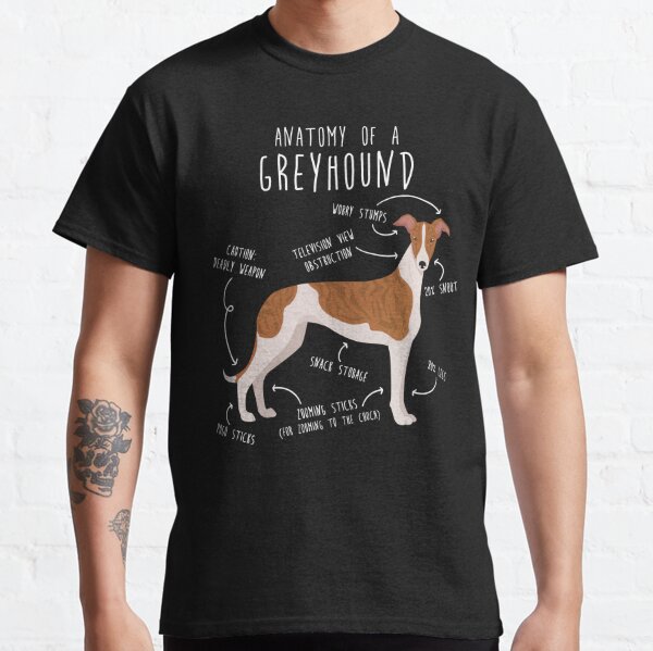 Saving the Davis Greyhounds~1989 | Greyhound Articles Online