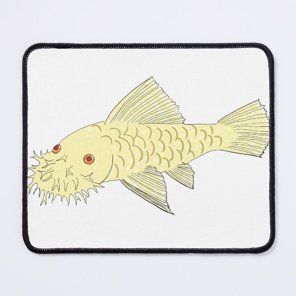 Item preview, Red Eye Albino Bristlenose Pleco - Vanilla Flavor - White Background designed and sold by ReverendMothman.