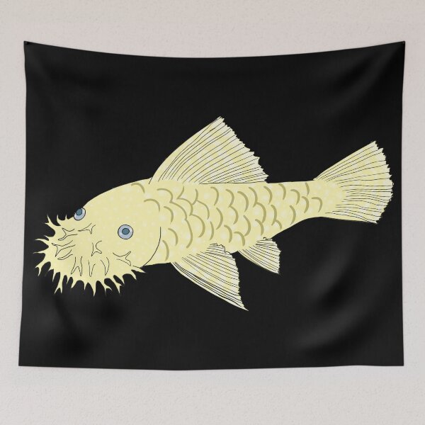 Item preview, Blue Eye Albino Bristlenose Pleco - Vanilla Flavor - Black Background designed and sold by ReverendMothman.