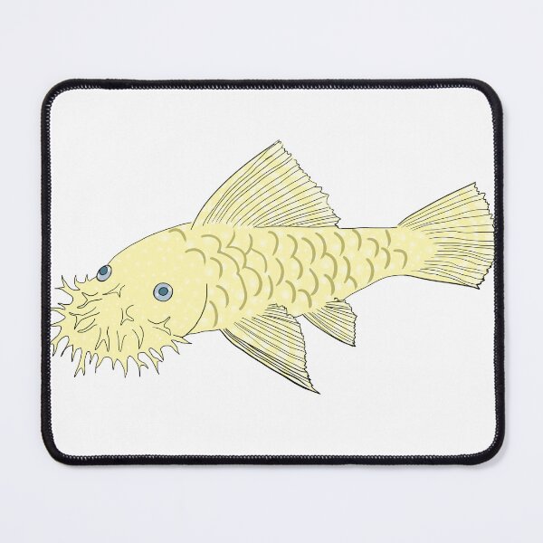 Item preview, Blue Eye Albino Bristlenose Pleco - Vanilla Flavor - White Background designed and sold by ReverendMothman.