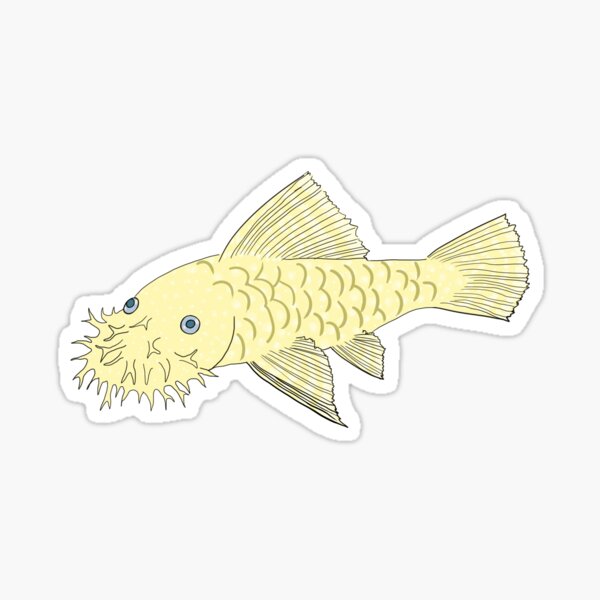 Vista previa del artículo con la obra «Blue Eye Albino Bristlenose Pleco - Sabor a vainilla - Fondo blanco», diseñado y vendido por ReverendMothman.