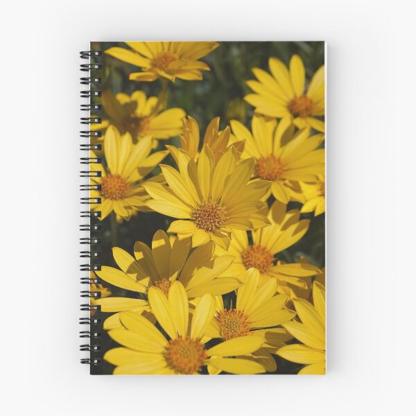 Item preview, Beautiful Bright Yellow Daisies designed and sold by Joy Watson - Natural Light Photography .