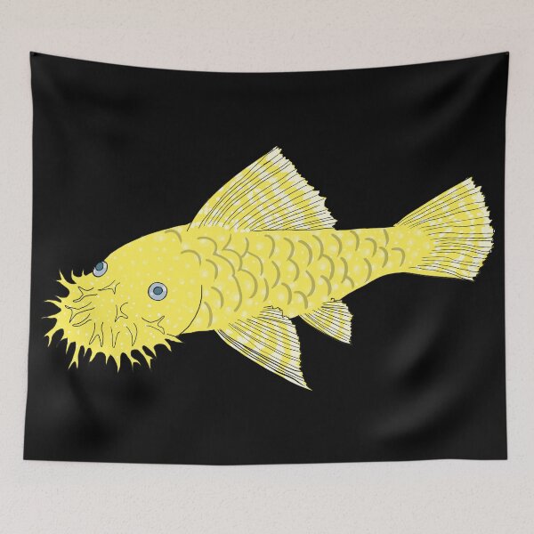 Item preview, Blue Eye Lemon Bristlenose Pleco - Lemon Flavor - Black Background designed and sold by ReverendMothman.