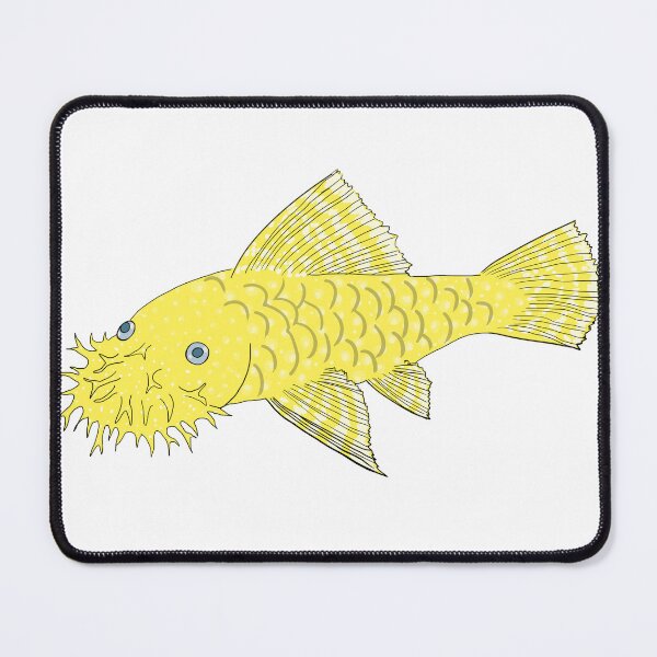 Item preview, Blue Eye Lemon Bristlenose Pleco - Lemon Flavor - White Background designed and sold by ReverendMothman.