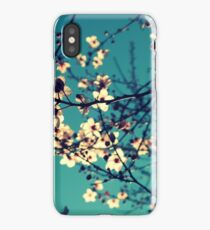 You Are My Sunshine iPhone Case