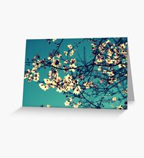 You Are My Sunshine Greeting Card