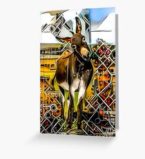 Donkey Greeting Card
