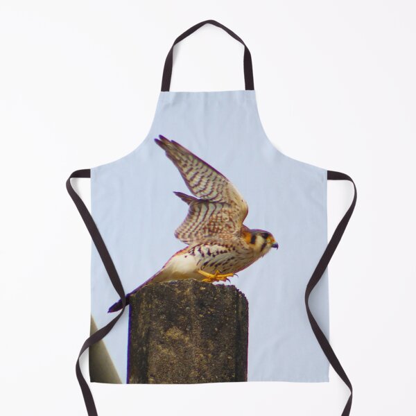 Item preview, Ready to Soar - Falco Sparverius designed and sold by Olivia Tatara.