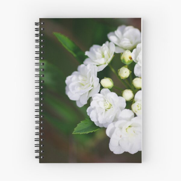 Item preview, Mayflower designed and sold by Penny Kittel.