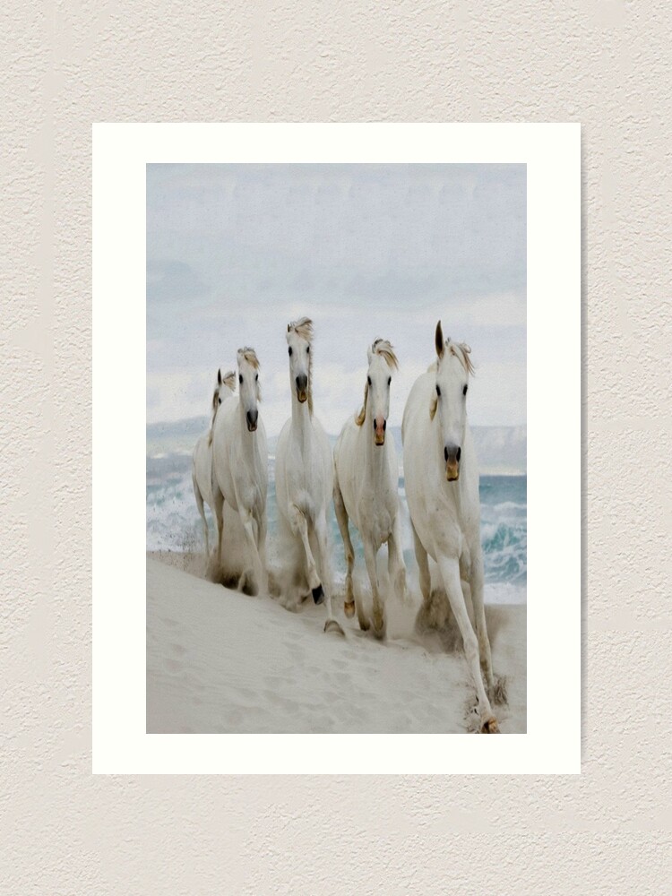 Buy one get one free greeting card offer Gray Horses Galloping In Snow Buy one get one free greeting card offer Gray Horses Galloping In Snow