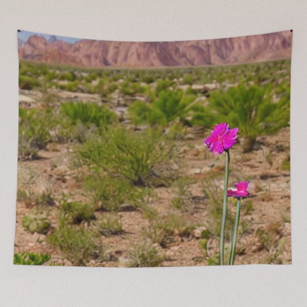 Tapestry