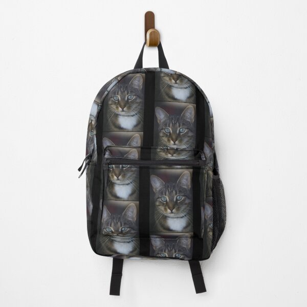 Item preview, Elbkatz` cat at the window Classic designed and sold by pjotermulpasx.