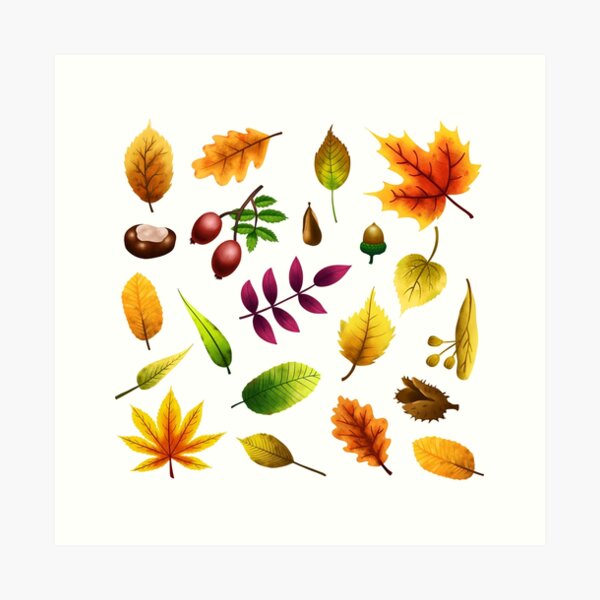 Fall Fun Kunstdruck