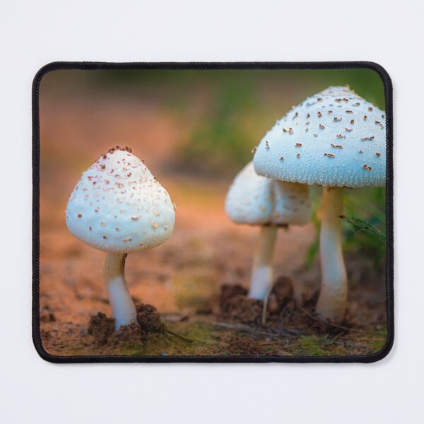 Item preview, Mushroom designed and sold by JohnDSmith.