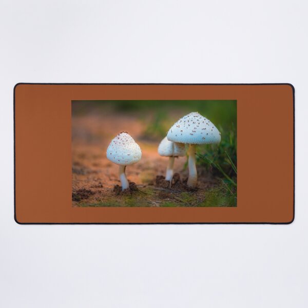 Item preview, Mushroom designed and sold by JohnDSmith.