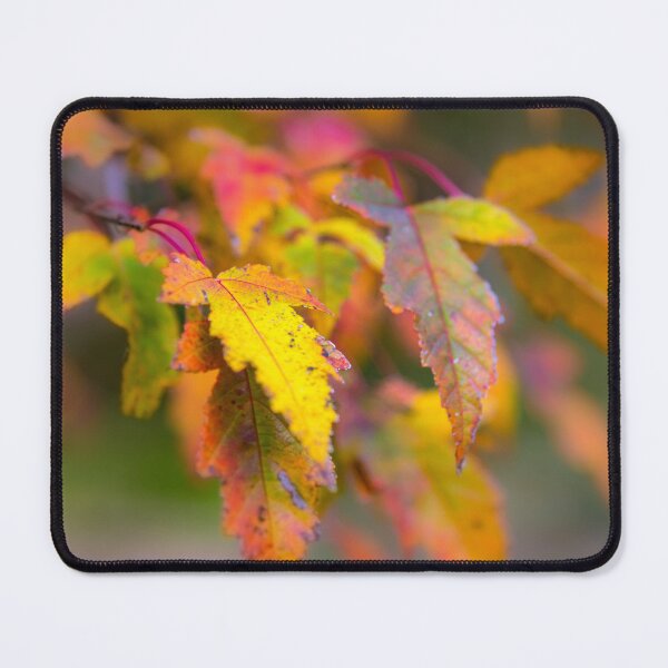 Item preview, Colors of Fall designed and sold by JohnDSmith.
