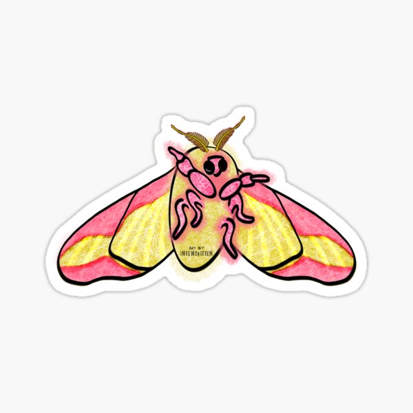 Item preview, Rosy Maple Moth designed and sold by NicheKnightArt.
