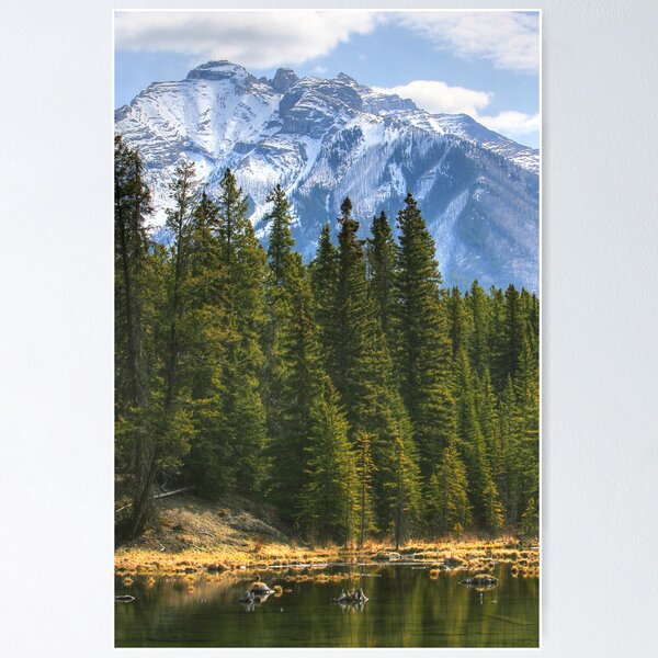Item preview, Banff designed and sold by Tim Yuan.