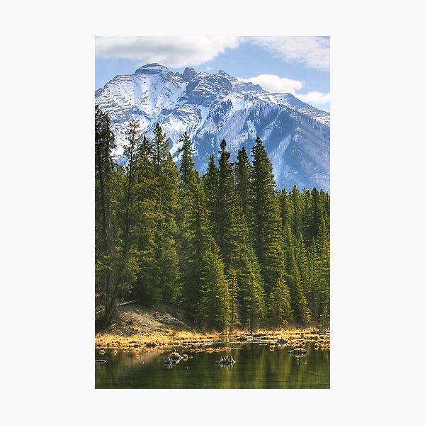 Artikelvorschau, Banff entworfen und verkauft von Tim Yuan.