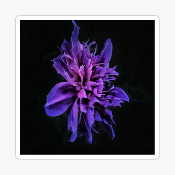 Item preview, Pintar el efecto de salpicadura Dahlia designed and sold by Johnmfc81.