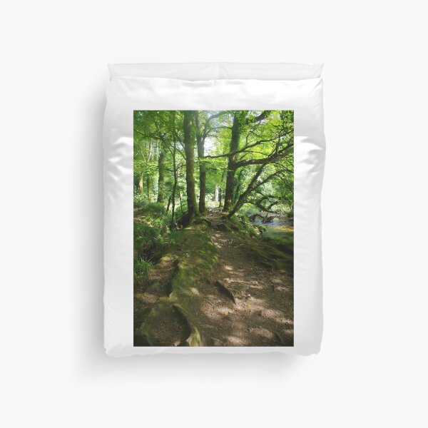 Item preview, A Shady Walk, Draynes Woods, Cornwall, UK designed and sold by lezvee.