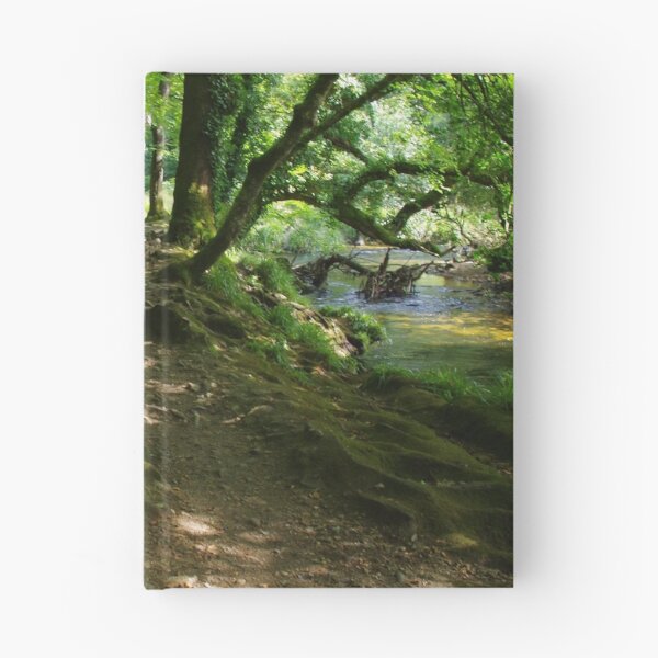 Item preview, A Shady Walk, Draynes Woods, Cornwall, UK designed and sold by lezvee.