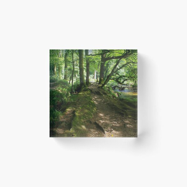 Item preview, A Shady Walk, Draynes Woods, Cornwall, UK designed and sold by lezvee.
