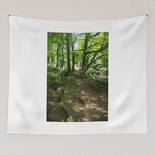 Item preview, A Shady Walk, Draynes Woods, Cornwall, UK designed and sold by lezvee.