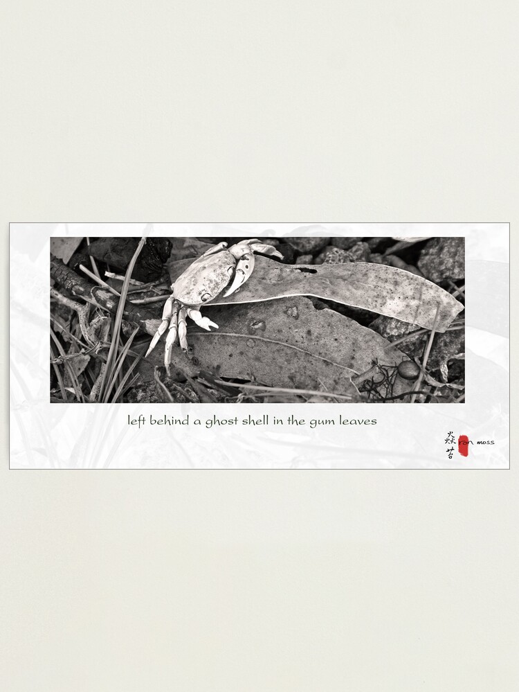 Alternate view of Ghost Shell Photographic Print