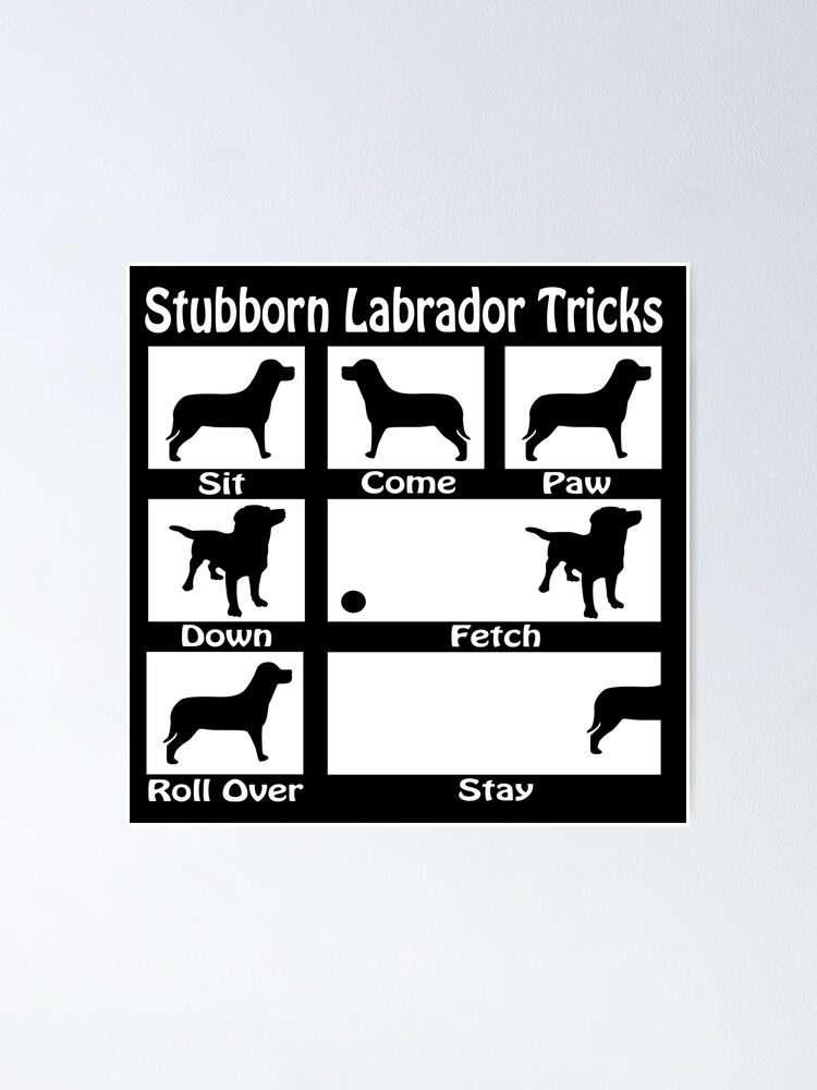 Thumbnail 1 of 3, Poster, Stubborn Labrador Tricks designed and sold by Ricaso.